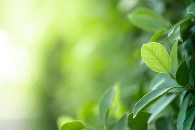 实测教程”手机跑胡子开挂”开挂(透视)辅助教程